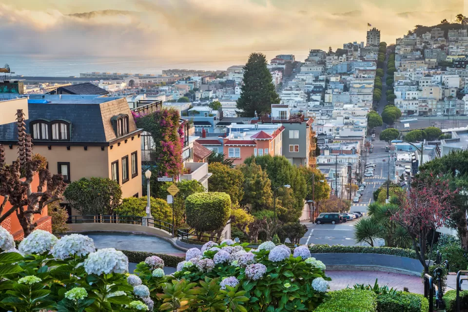 View of San Francisco neighborhood from top of hill with misty bay in background.